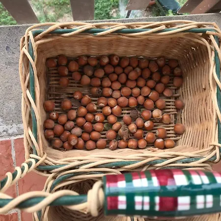 Casale In Collina Vista Assisi,brufa Di Torgiano * Brufa