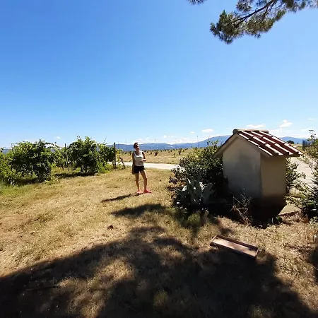 Casale In Collina Vista Assisi,brufa Di Torgiano Brufa