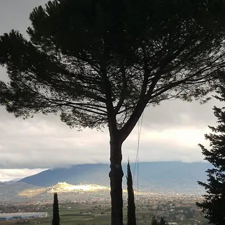 Casale In Collina Vista Assisi,brufa Di Torgiano Appartamento *