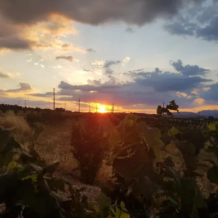 Casale In Collina Vista Assisi,brufa Di Torgiano Apartamento *
