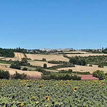 Casale In Collina Vista Assisi,brufa Di Torgiano *